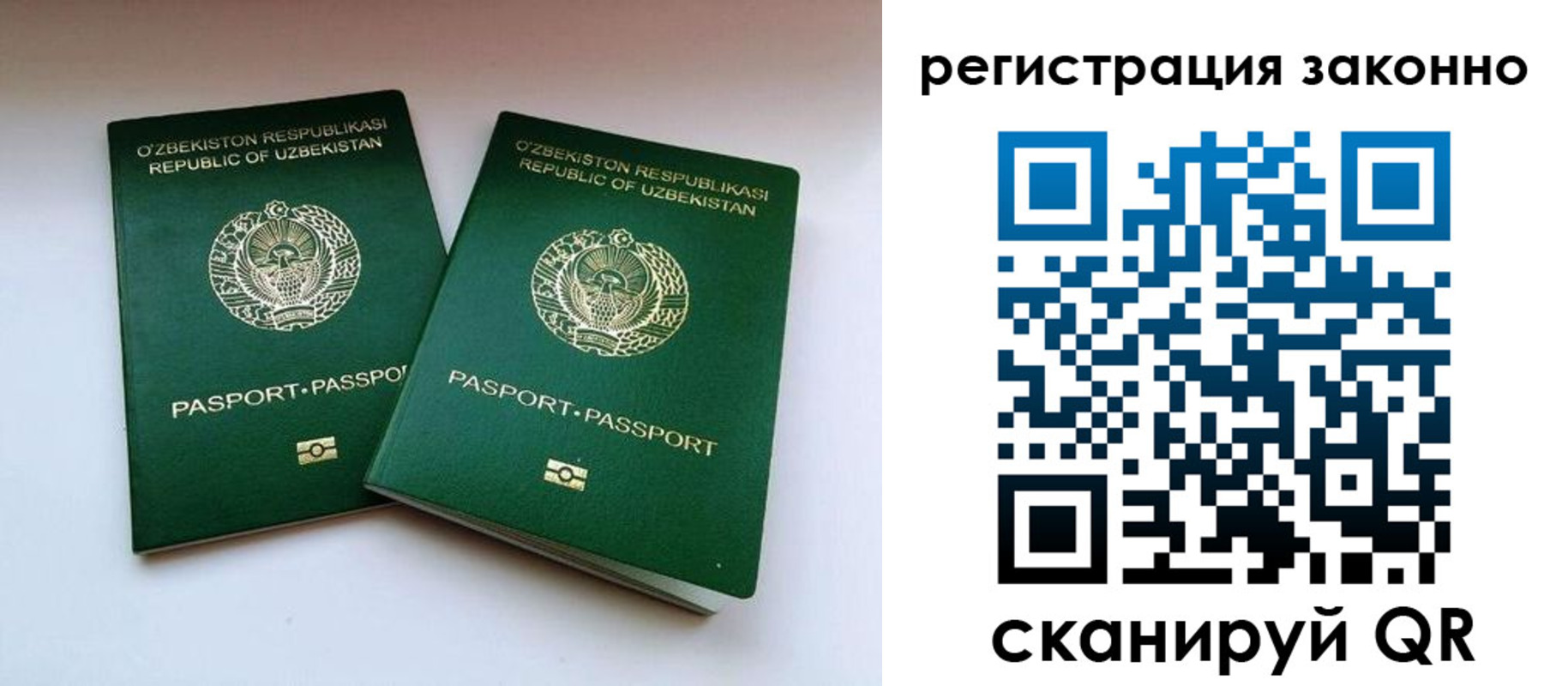 прописка гарантия в Кудрово